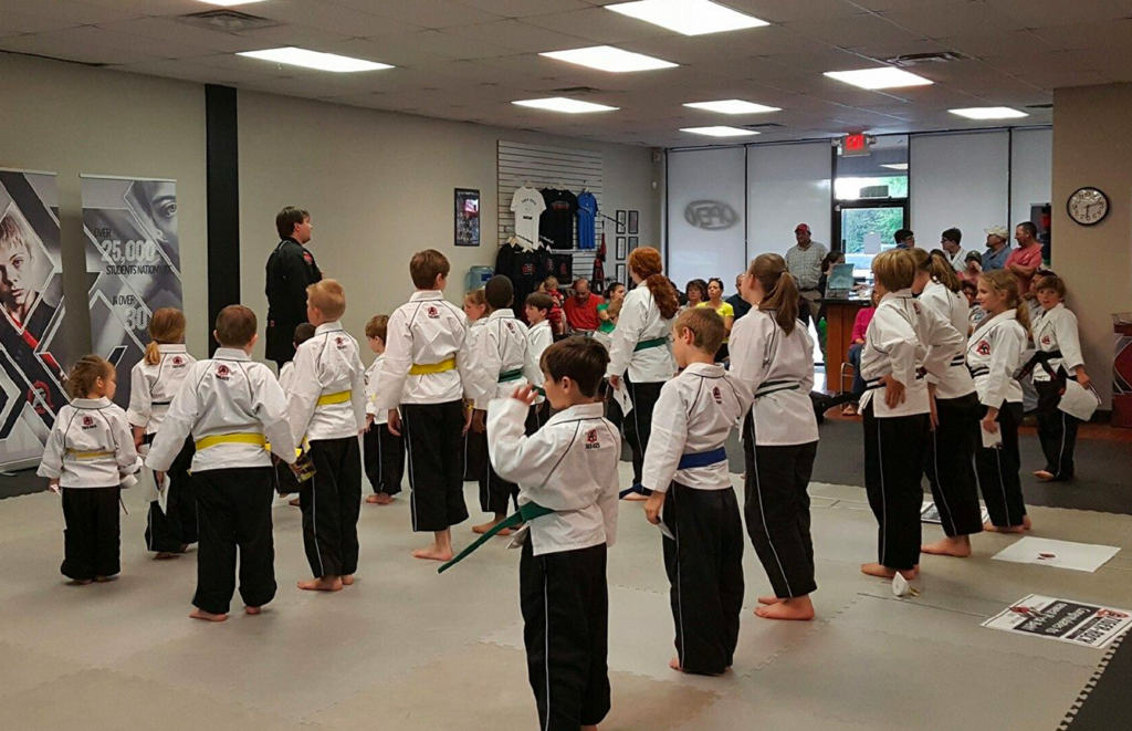 Thomasville Summer Martial Arts – The Ultimate Summer Martial Arts  Experience in Thomasville